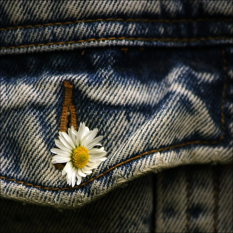 Hippie